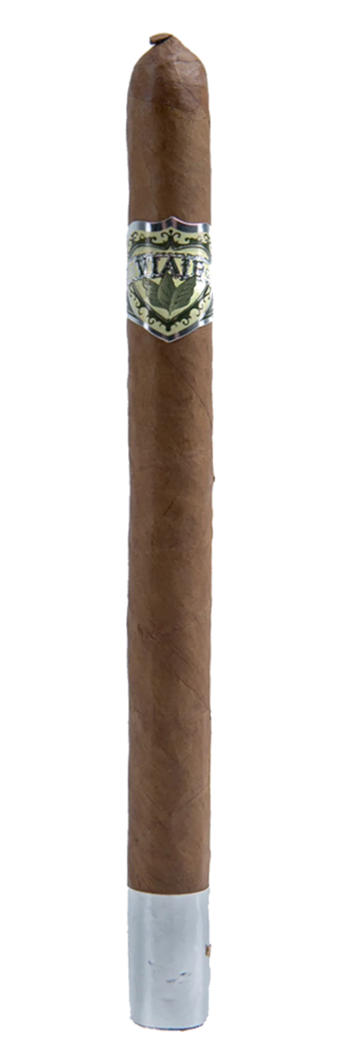 Viaje Plata Lancero