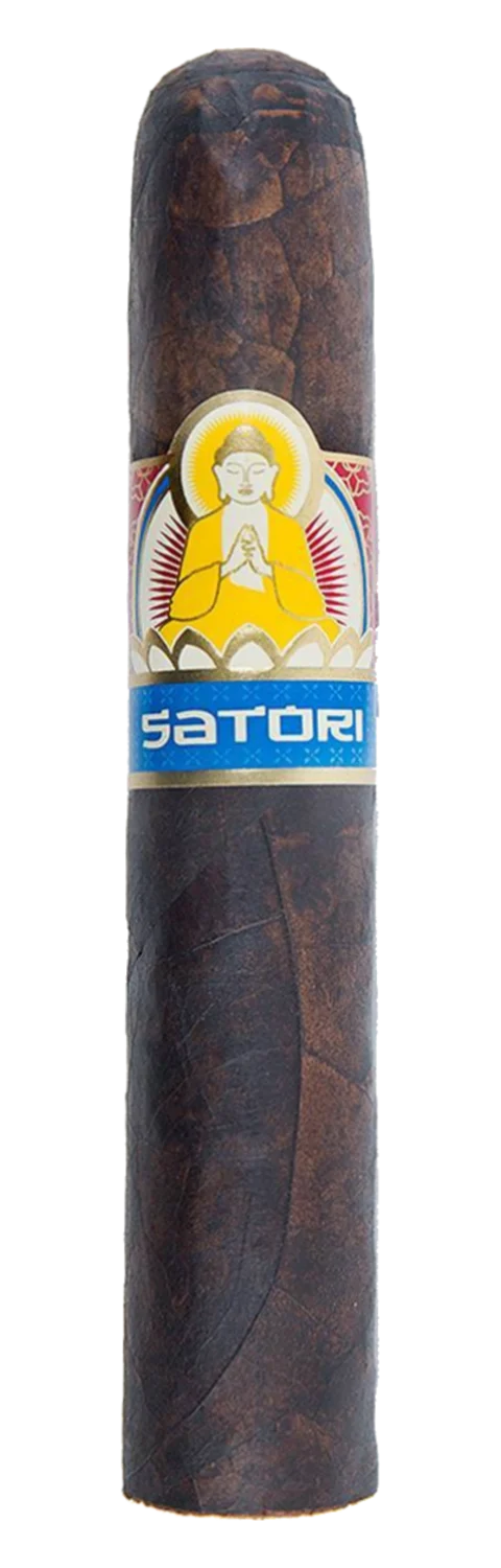 Viaje Satori Arya