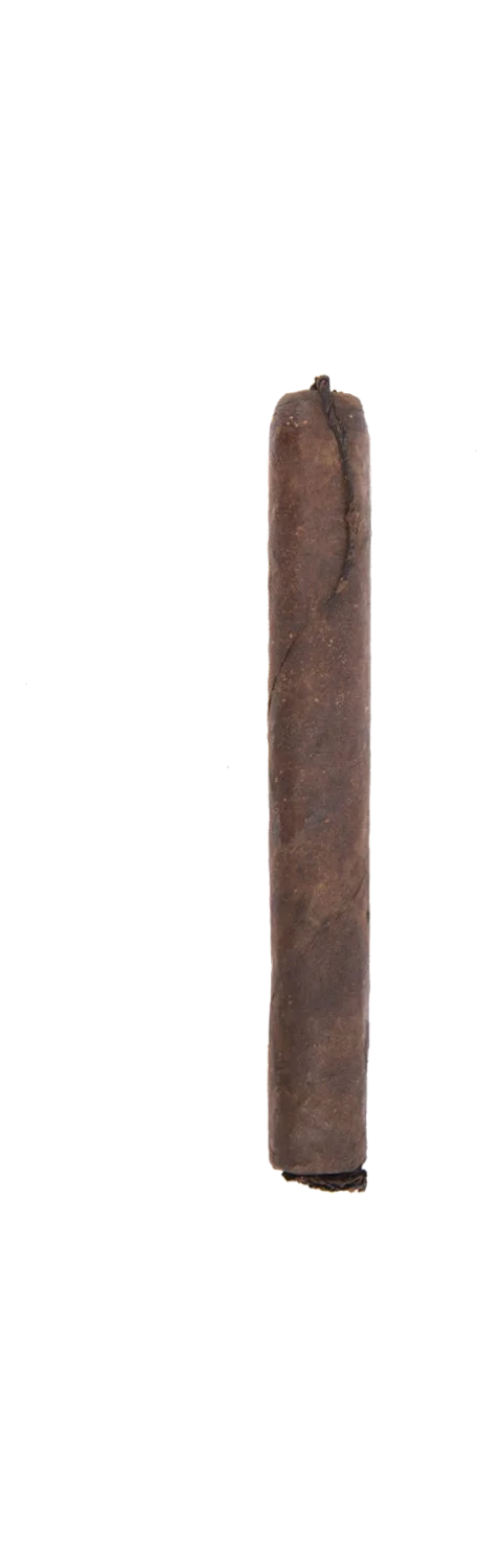 Viaje TNT