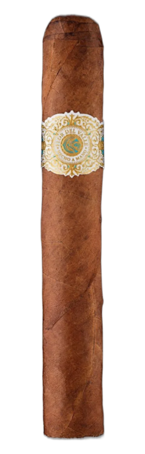 Warped Flor del Valle Gran Valle