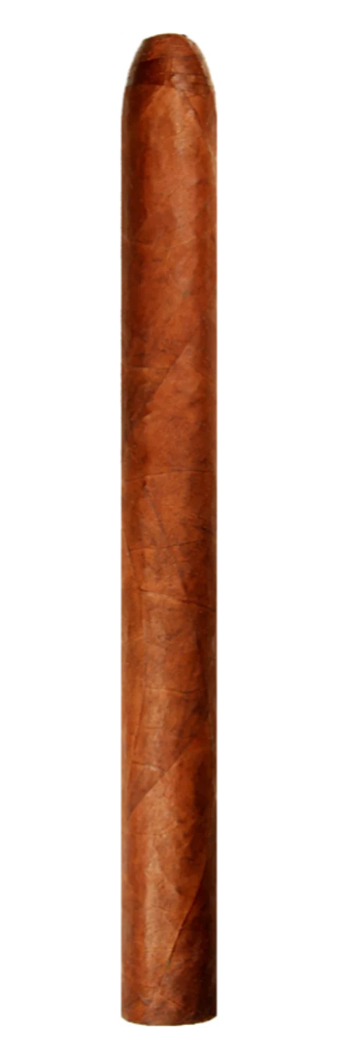 Warped Lirio Rojo Lonsdale