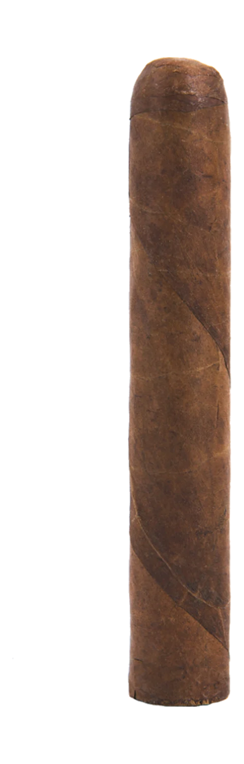 Zino Davidoff 100th Anniversary Robusto